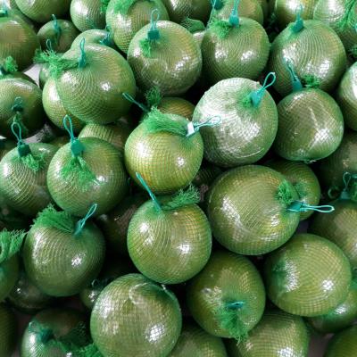 Hợp Tác Xã Bưởi Da Xanh Giồng Trôm