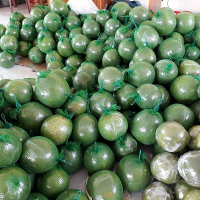 Hợp Tác Xã Bưởi Da Xanh Giồng Trôm